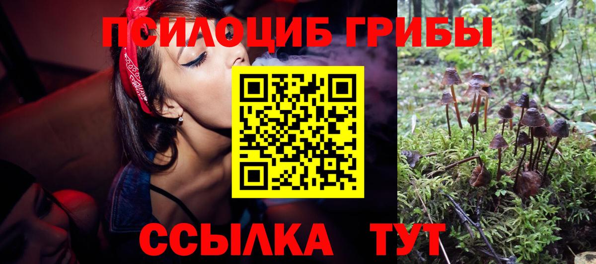 Псилоцибиновые грибы ЛСД  магазин  наркотиков  Клин  Вход с VPN  Псилоцибиновые грибы Psilocybe 